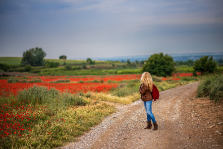 Le chemin des Tremaïe photo