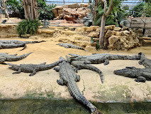 La Ferme aux crocodiles photo