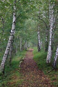 Se promener au Boucle du Moulin de Piis photo