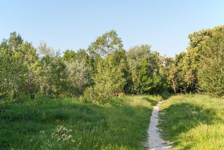 Se promener au Lac Saint-Clair photo