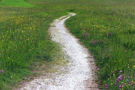 Se promener aux asphodeles  photo