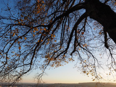 Venez faire une balade : Canal de Garonne photo